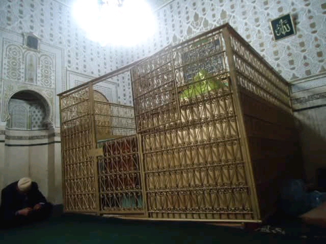 القصيدة في حق العلامة القطب، وغصن البانِ الرطبِ، مولانا أبي المواهب سيدي العربي بن السائح قبل ثلاثين سنة من هذا التارِيخِ